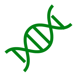 Spinal Muscular Atrophy Carrier Screening (SMA)